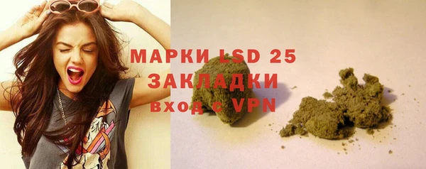 таблы Богородицк