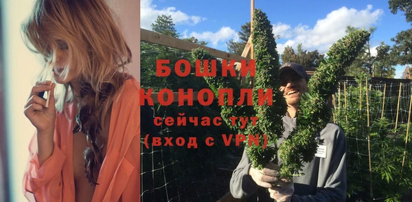 таблы Богородицк