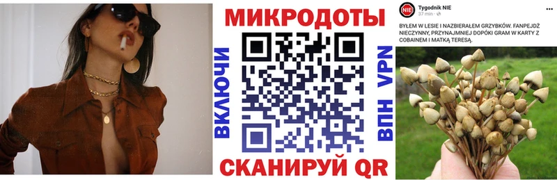 Псилоцибиновые грибы Psilocybe  Палласовка 